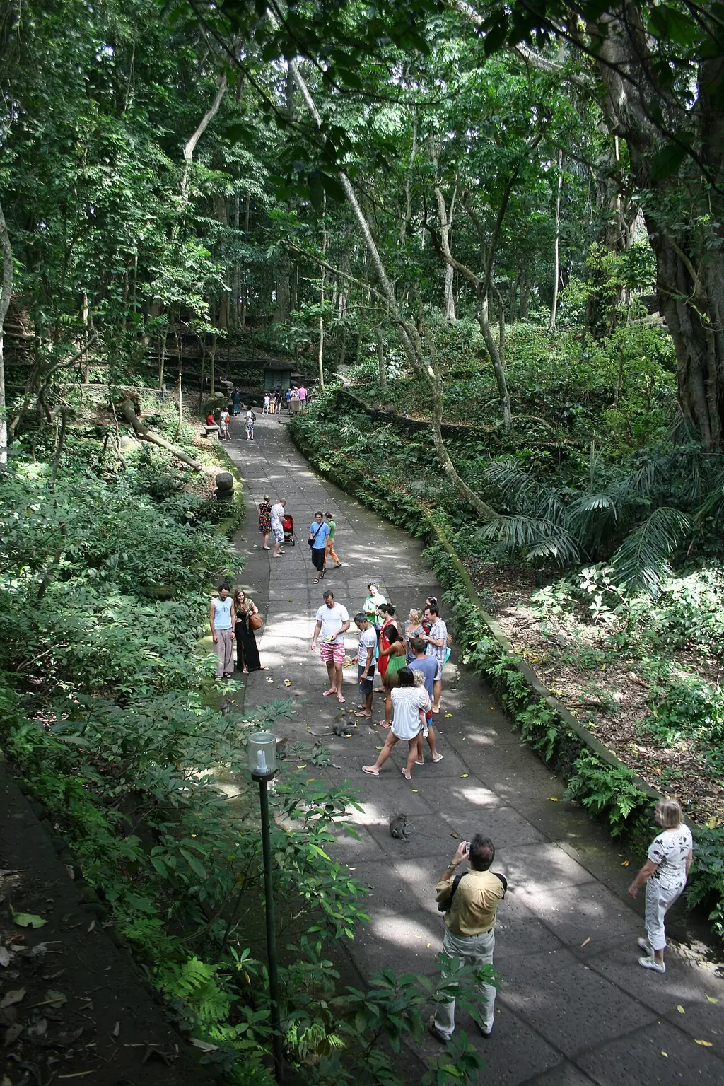 우붓 몽키 포레스트(Sacred Monkey Forest Sanctuary)