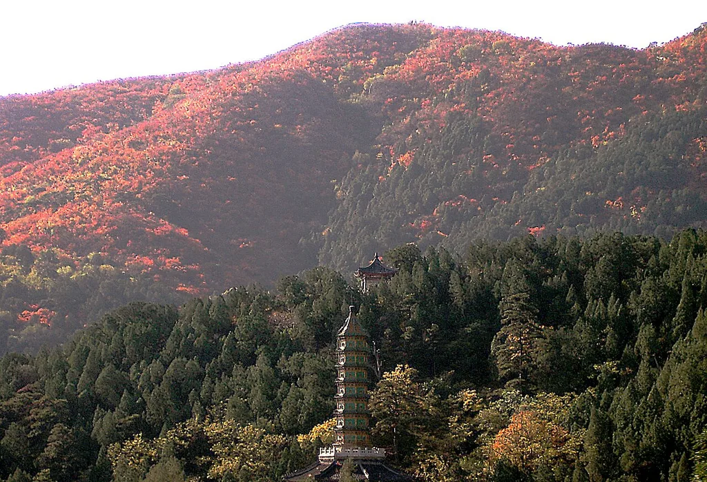 향산공원(香山公园)