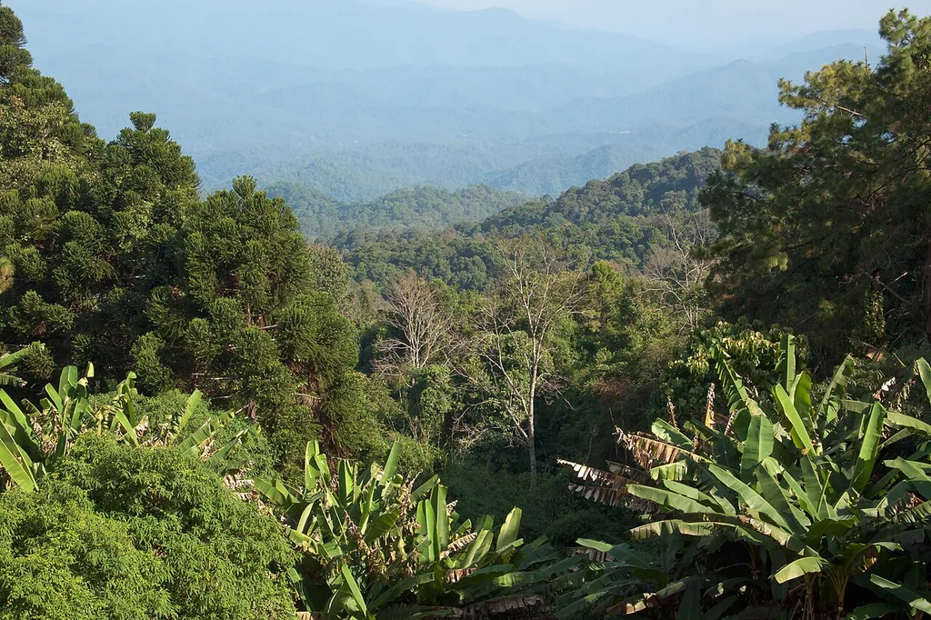 도이수텝-뿌이 국립공원 · 매사 폭포(Doi Suthep-Pui National Park / อุทยานแห่งชาติดอยสุเทพ-ปุย)