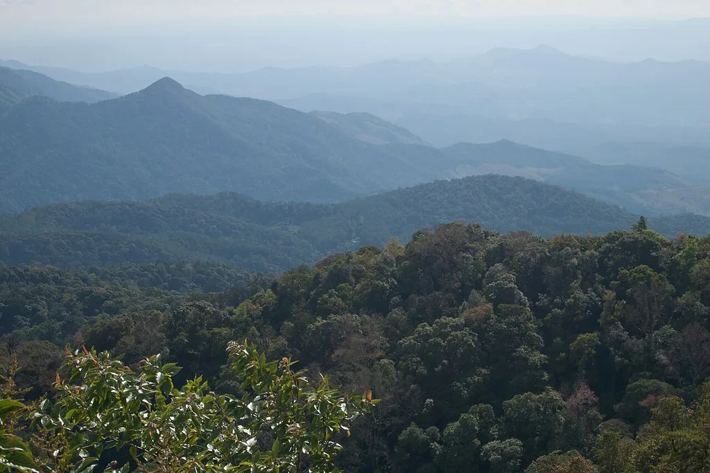 도이인타논 국립공원(Doi Inthanon National Park / อุทยานแห่งชาติดอยอินทนนท์)