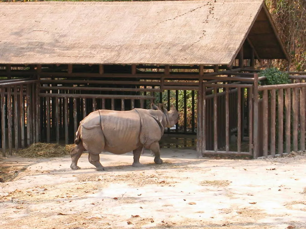치앙마이 동물원(Chiang Mai Zoo / สวนสัตว์เชียงใหม่)
