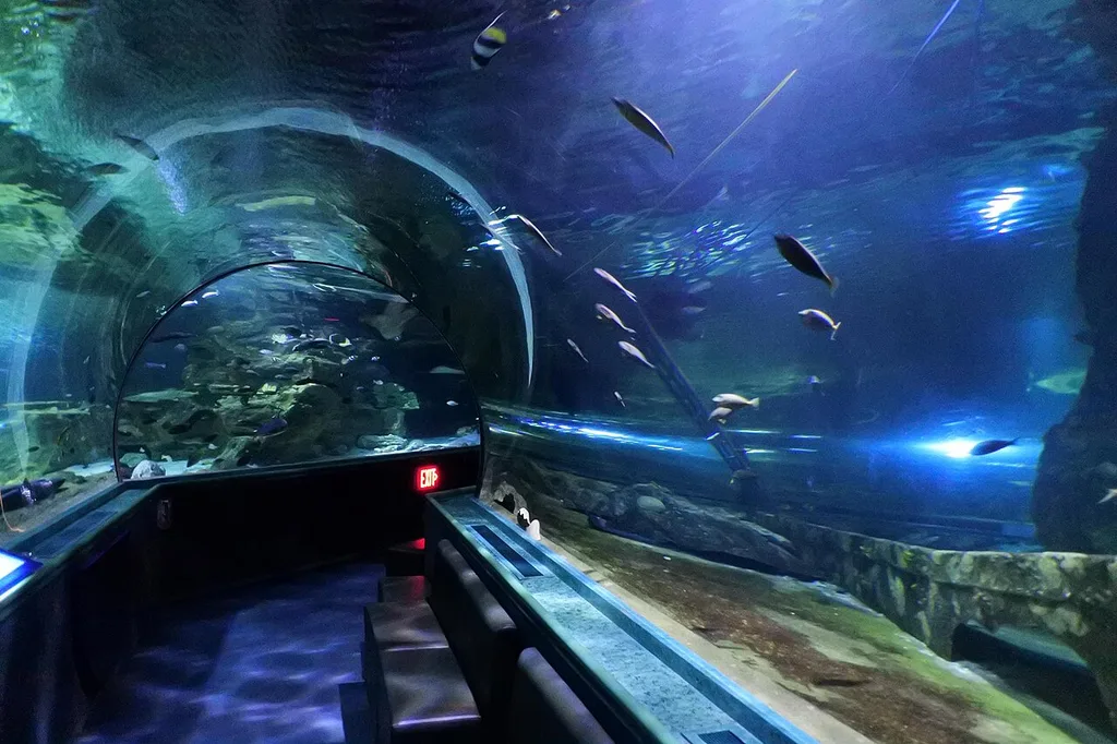 괌 아쿠아리움(Aquarium of Guam · 옛 UnderWater World)