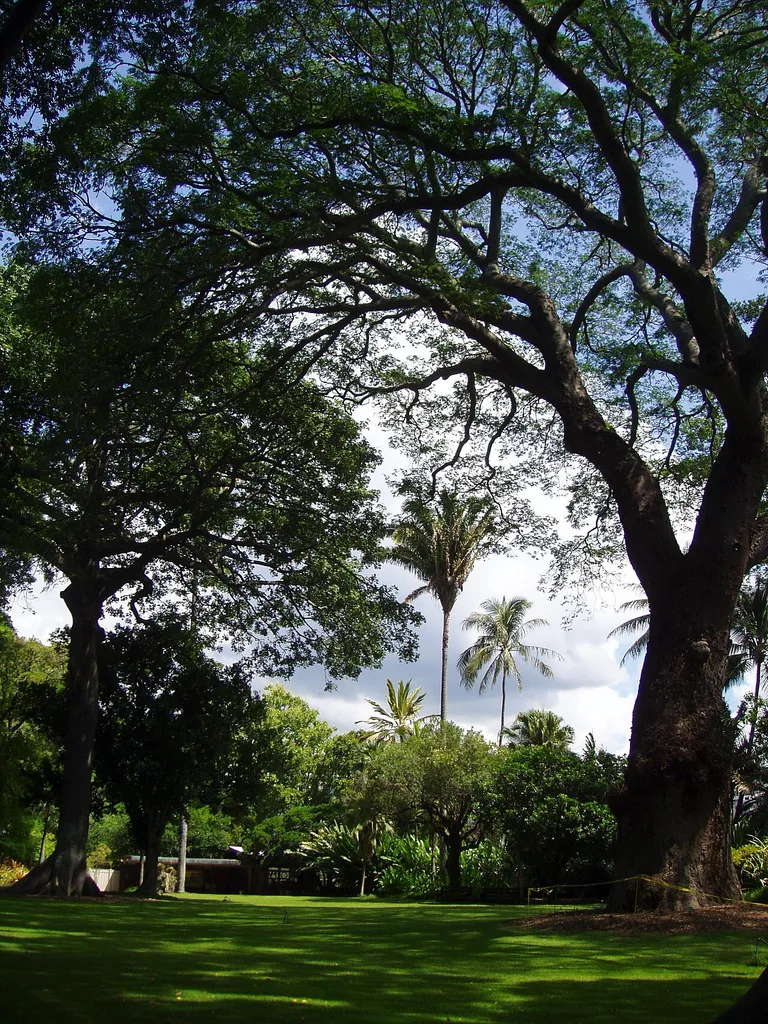 포스터 식물원(Foster Botanical Garden)
