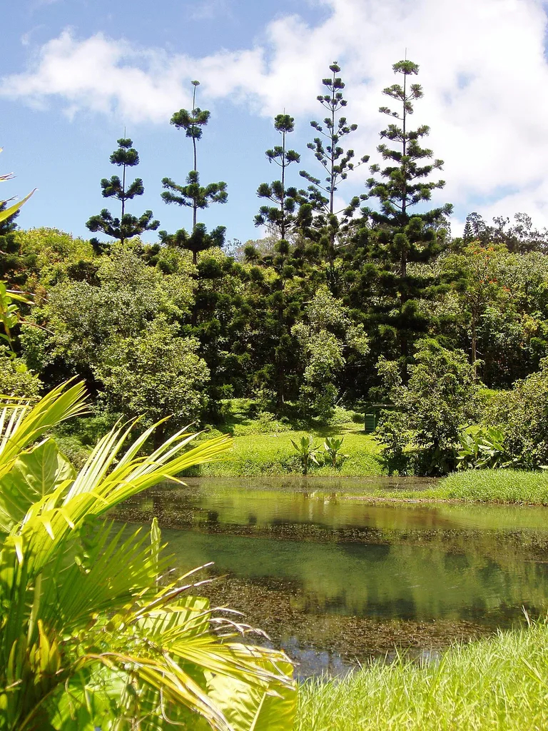 호오말루히아 식물원(Hoʻomaluhia Botanical Garden)