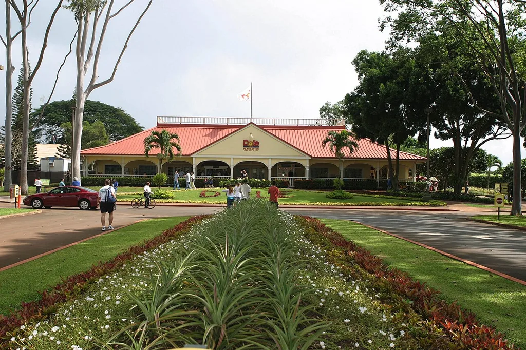 돌 플랜테이션(Dole Plantation)