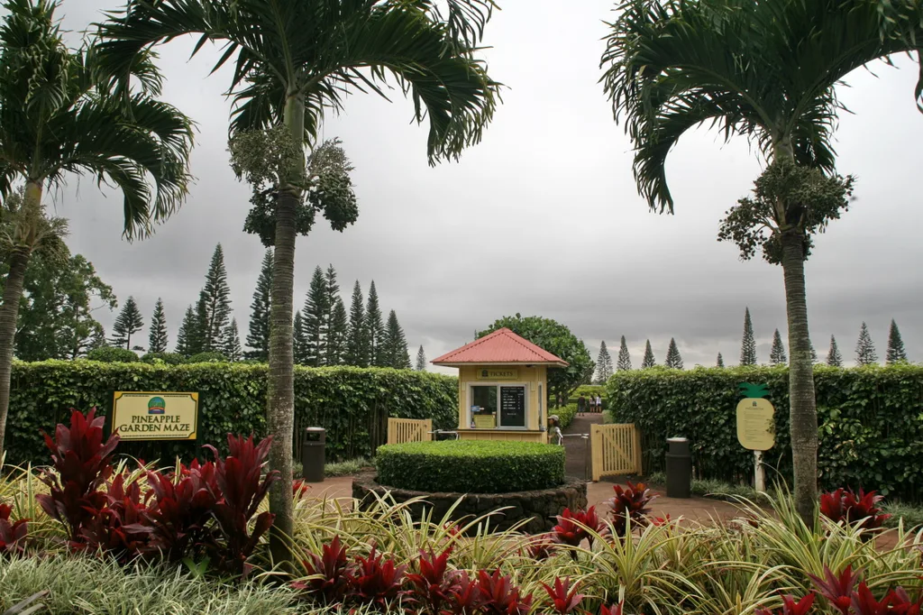 파인애플 가든 미로(Pineapple Garden Maze)