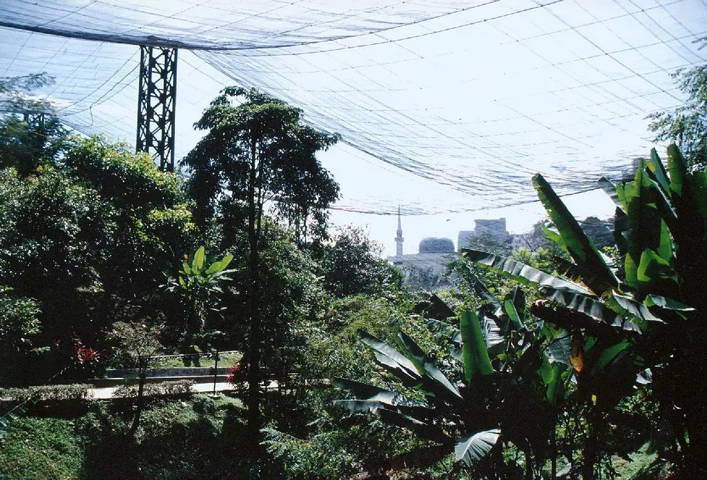 KL 버드파크(Kuala Lumpur Bird Park)