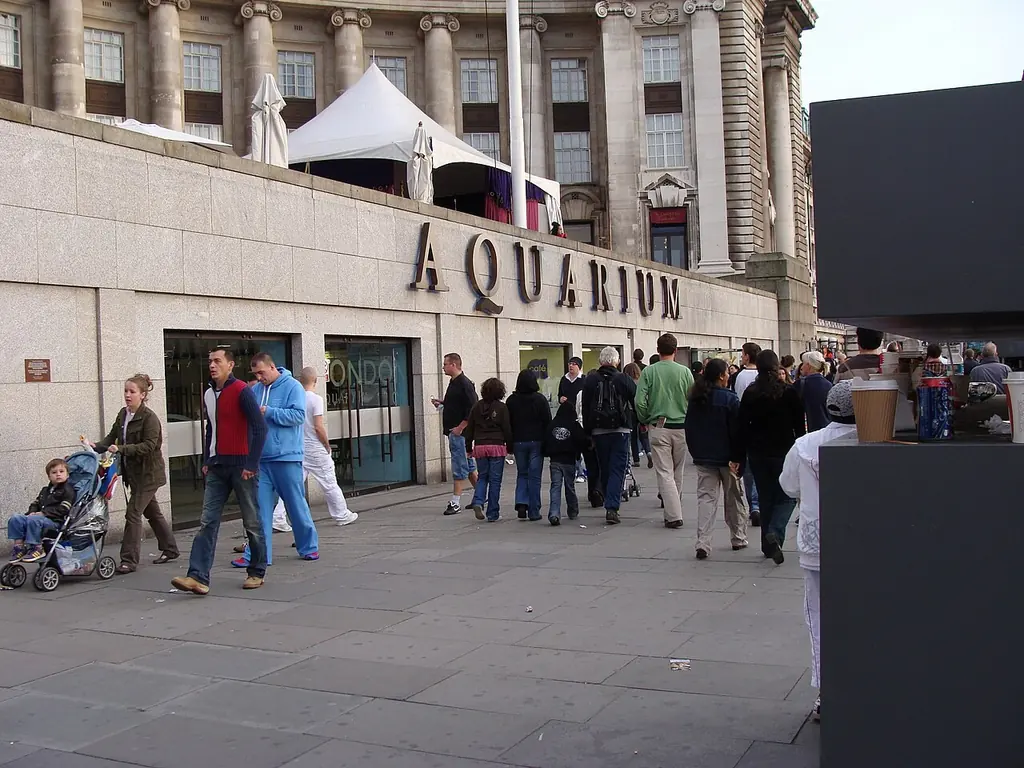 시라이프 런던 아쿠아리움(SEA LIFE London Aquarium)