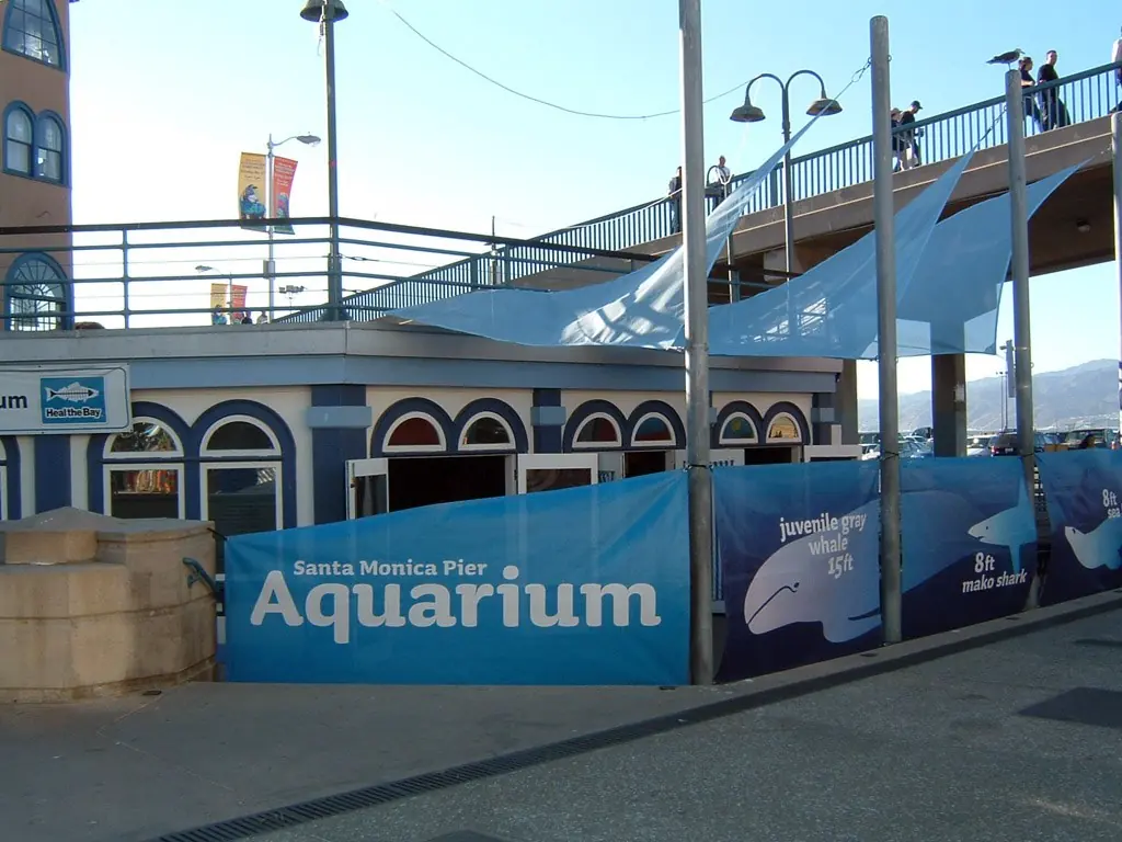 힐더베이 수족관(Heal the Bay Aquarium)