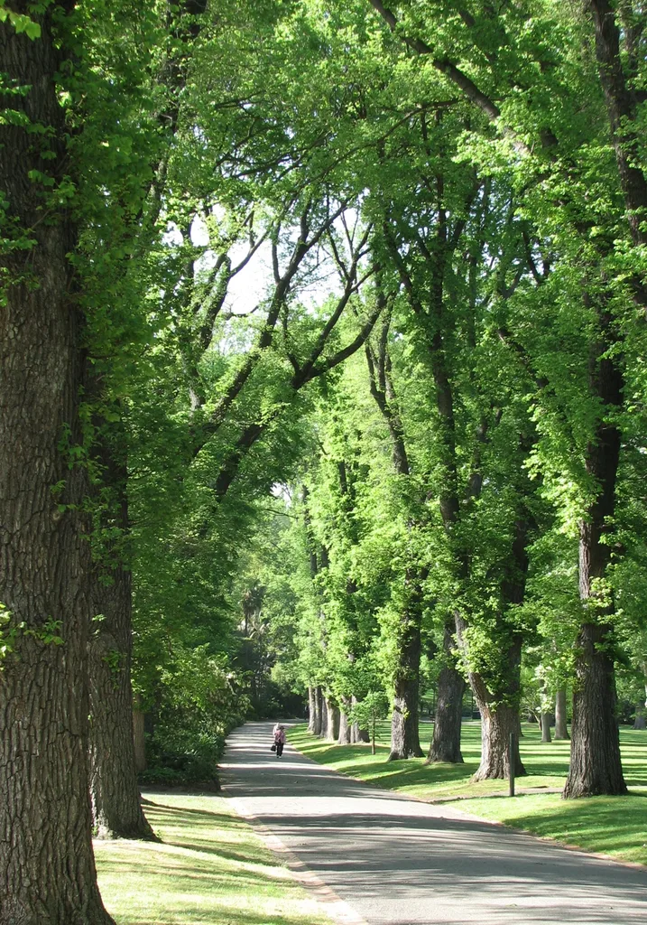 피츠로이 가든(Fitzroy Gardens)