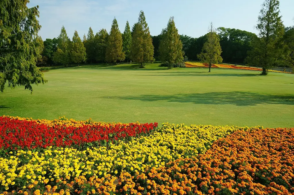 만박기념공원 자연문화원·일본정원(万博記念公園 自然文化園・日本庭園)