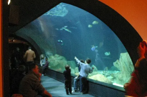파리 수족관(Aquarium de Paris)