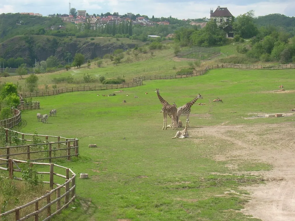 프라하 동물원(Zoo Praha)