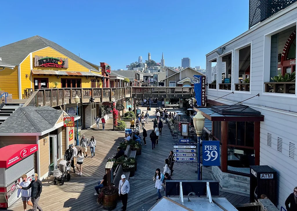 피어 39 바다사자(PIER 39 Sea Lions · K-Dock)