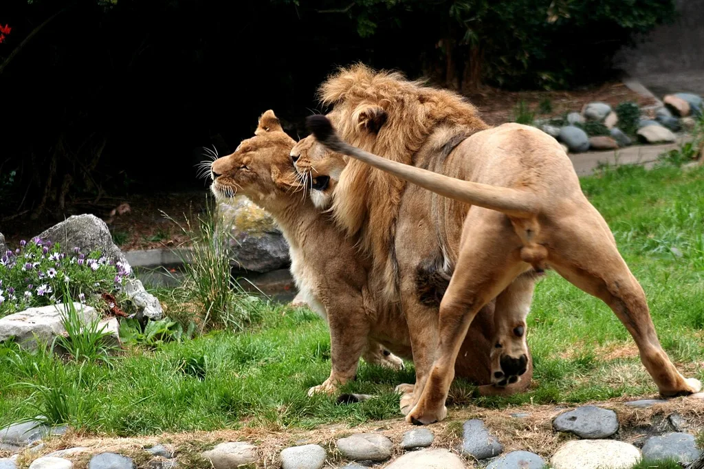 샌프란시스코 동물원(San Francisco Zoo & Gardens)