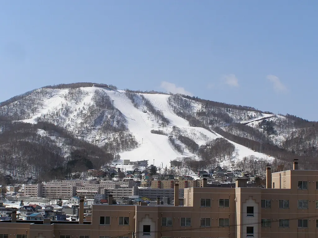 오타루 텐구야마 로프웨이 왕복(小樽天狗山ロープウエイ)