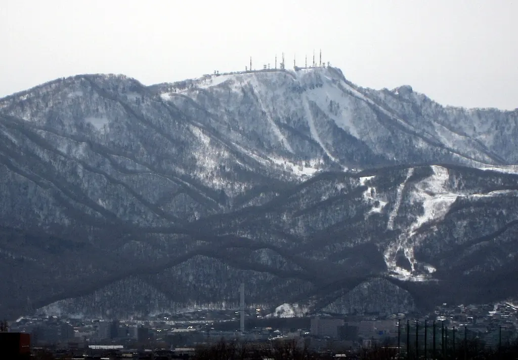 삿포로 테이네 1일 리프트권(サッポロテイネ)