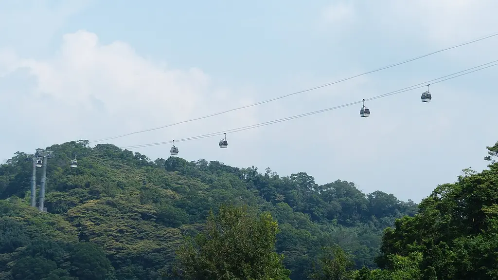 마오콩 곤돌라 단일 승차권(貓空纜車)