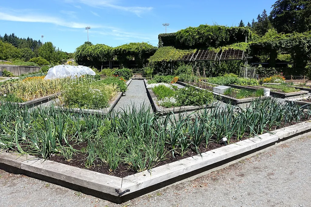 UBC 식물원(UBC Botanical Garden)