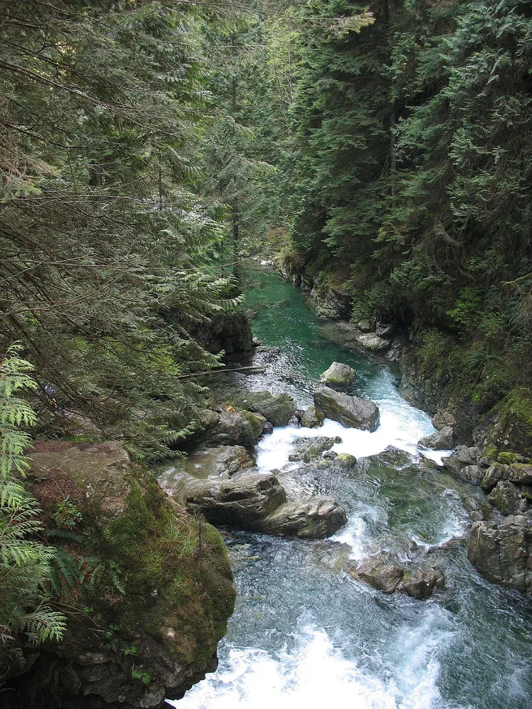 린 캐니언 파크(Lynn Canyon Park)