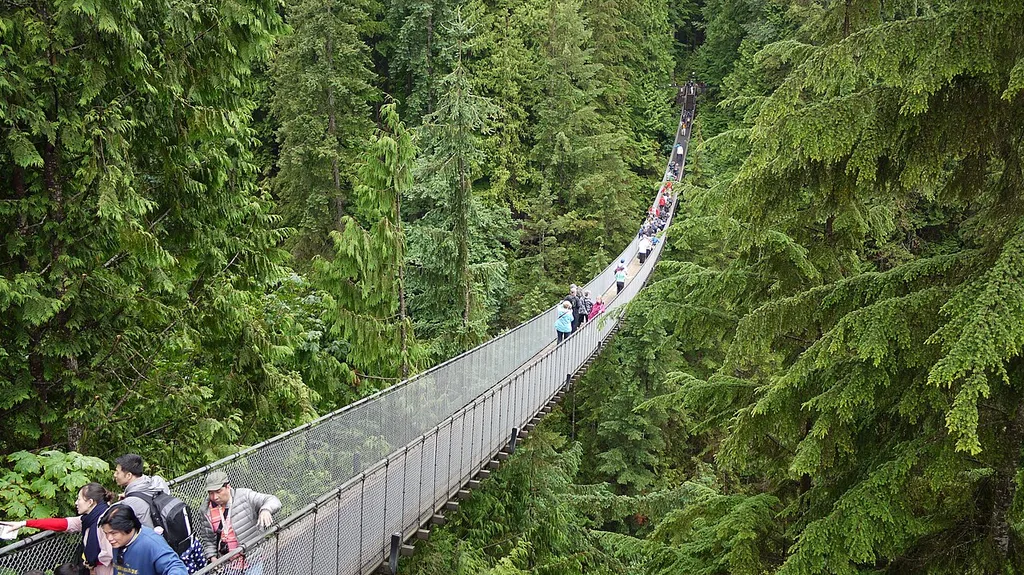 캐필라노 흔들다리 파크(Capilano Suspension Bridge Park)